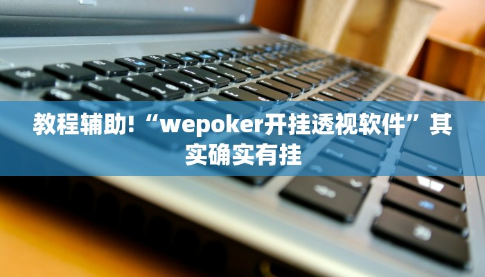 教程辅助!“wepoker开挂透视软件”其实确实有挂