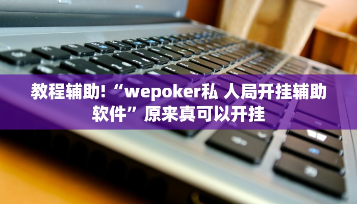 教程辅助!“wepoker私 人局开挂辅助软件”原来真可以开挂