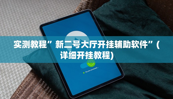 实测教程”新二号大厅开挂辅助软件”(详细开挂教程)