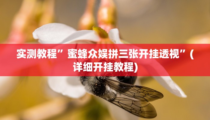 实测教程”蜜蜂众娱拼三张开挂透视”(详细开挂教程)