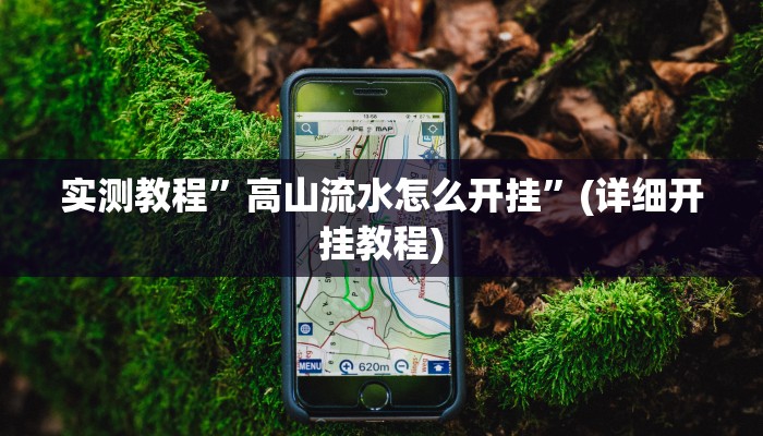 实测教程”高山流水怎么开挂”(详细开挂教程)