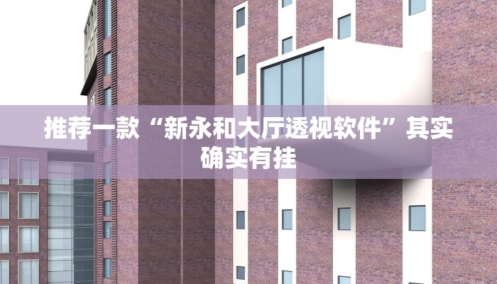 推荐一款“新永和大厅透视软件”其实确实有挂