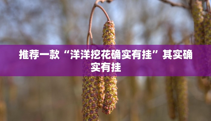 推荐一款“洋洋挖花确实有挂”其实确实有挂