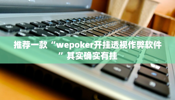 推荐一款“wepoker开挂透视作弊软件”其实确实有挂