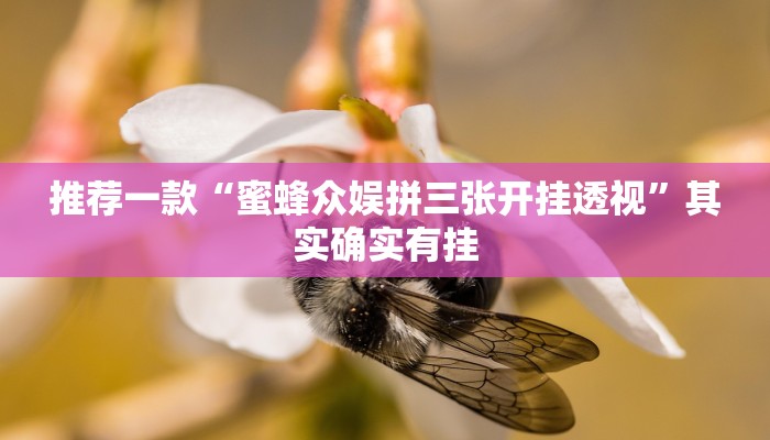 推荐一款“蜜蜂众娱拼三张开挂透视”其实确实有挂