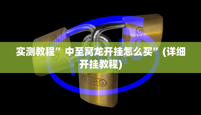 实测教程”中至窝龙开挂怎么买”(详细开挂教程)