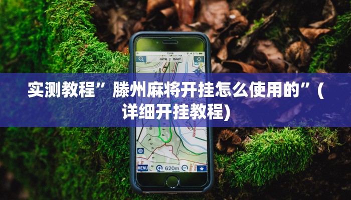 实测教程”滕州麻将开挂怎么使用的”(详细开挂教程)