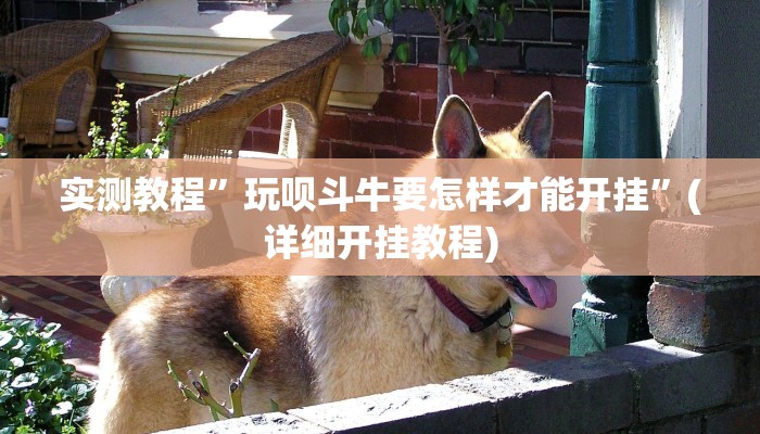 实测教程”玩呗斗牛要怎样才能开挂”(详细开挂教程)