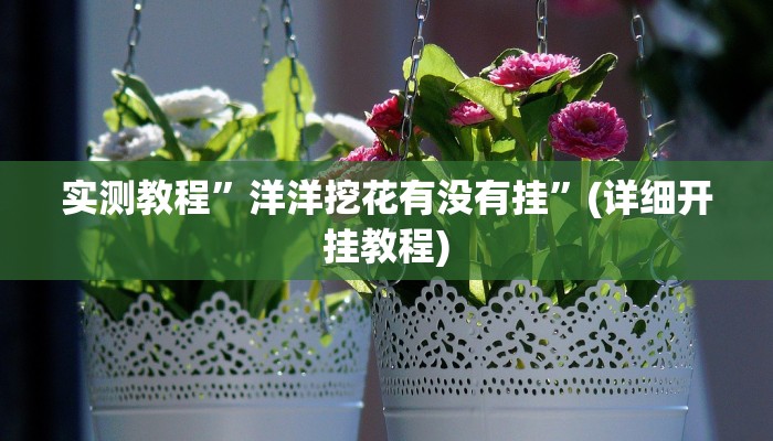 实测教程”洋洋挖花有没有挂”(详细开挂教程)