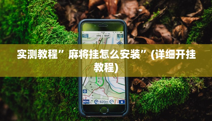 实测教程”麻将挂怎么安装”(详细开挂教程)