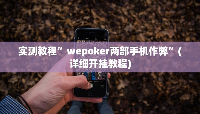 实测教程”wepoker两部手机作弊”(详细开挂教程)
