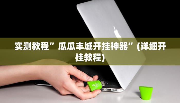 实测教程”瓜瓜丰城开挂神器”(详细开挂教程)