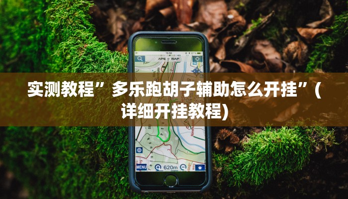 实测教程”多乐跑胡子辅助怎么开挂”(详细开挂教程)