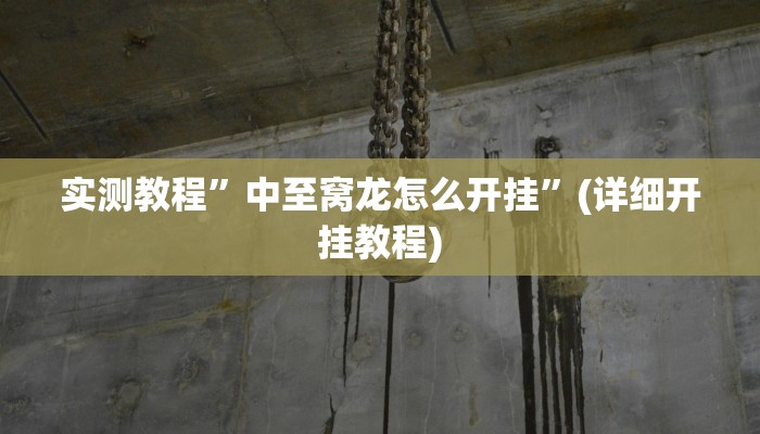 实测教程”中至窝龙怎么开挂”(详细开挂教程)