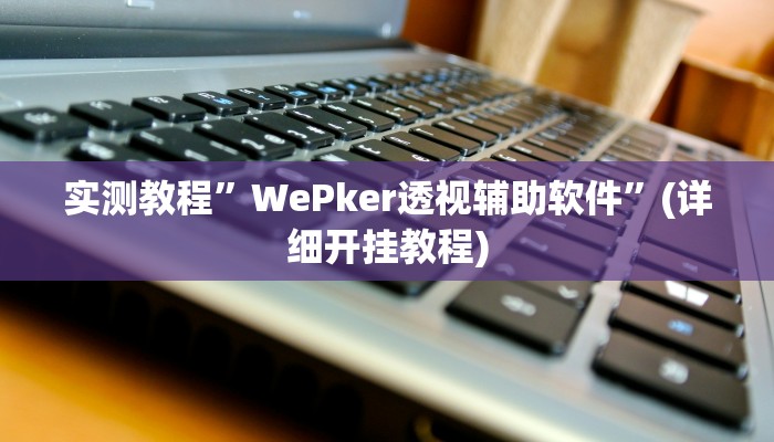 实测教程”WePker透视辅助软件”(详细开挂教程)